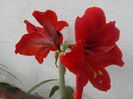 DSCN0154[1]
