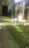 20160618_180528
