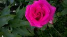 WP_20160617_20_59_54_Pro
