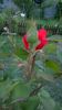 WP_20160617_21_01_22_Pro