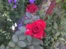 IMG_20160618_191200