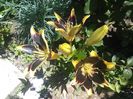 IMG_20160615_140052