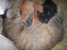 DSCN0645