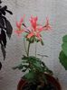 20160618_191848