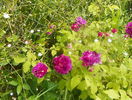Erinnerung an Brod