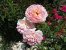 Abraham Darby