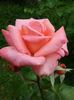 20160619_122500