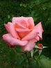 20160619_122455