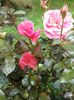 20160619_122316
