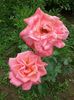 20160619_122051