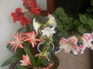 DSCN0218[1]