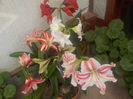 DSCN0219[1]