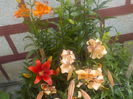 DSCN0222[1]