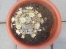 DSCN0227[1]