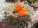DSCN0228[1]