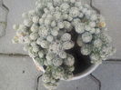 DSCN0230[1]