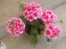 DSCN0235[1]