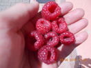 DSCN0802