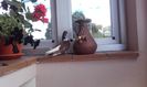 20160618_135056