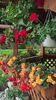 WP_20160619_18_16_19_Pro