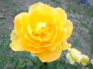 DSC04271