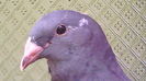 IMG_20160618_094841