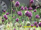 SAM_0804