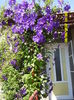 SAM_0840