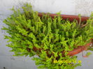 SAM_0844
