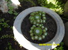SAM_0846