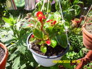 SAM_0849