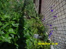 SAM_0851
