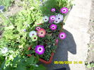 SAM_0853