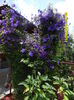 SAM_0859