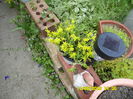 SAM_0863
