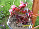 SAM_0867