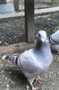 IMG_20160607_144432