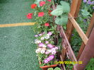 SAM_0870