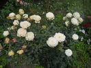 DSCN9518