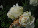 DSCN9548