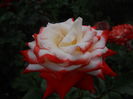 DSCN9571