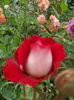 DSCN9573