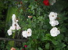 DSCN9574