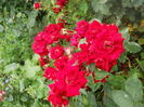 DSCN9575