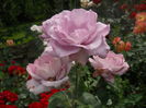 DSCN9576