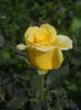 DSCN9578