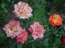 DSCN9580