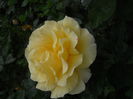 DSCN9583
