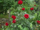 DSCN9584