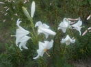 DSCN0246[1]